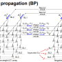 On-Chip Learning Based on NAND Flash Memory (낸드플래시 메모리에서의 On-chip learning)