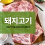 피로해소에 좋은 돼지고기 효능과 부작용 및 부위별용도 섭취량 칼로리 먹는방법까지