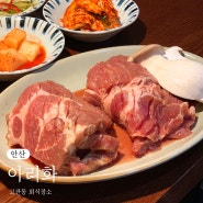 안산 고잔동 맛집ㅣ안산 점심 돼지갈비, 왕갈비탕 아리화
