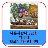 박나래 마카다미아 견과류 헬로우 바닐라 맛 가격 나혼자산다 522회 정보