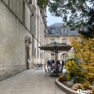 [부르고뉴여행] 디종 현대미술관(Museum of Fine Arts Dijon) / 감성 넘치는 예쁜 카페 꽁뚜아 데 꼴로니 (Comptoir des Colonies)