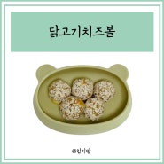 아기 닭고기치즈볼 닭가슴살요리 돌 두돌 유아식 식단 엄마표 반찬