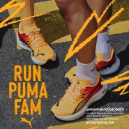 [Running] 푸마 RUN PUMA FAM 2기 모집 안내🔥