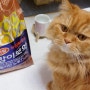 고양이사료 고양이노묘사료 하림펫푸드 밥이보약 활기찬 노후