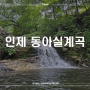 강원도 계곡 추천 - 아이와 함께 가기 좋은 계곡 [인제 동아실 계곡]