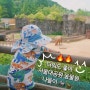 여름 동물원 더워도 달려요 서울대공원 과천 동물원 🔥