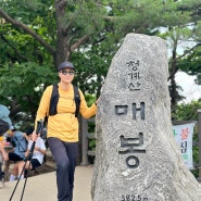 [서울/경기도 등산 종주 코스] 광청종주, 광교산~청계산