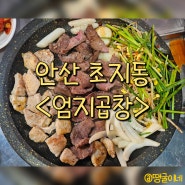 안산 초지동 곱창 막창 대창 맛집 - 엄지곱창