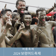 2024 보령머드축제 기본정보 가수 공연 입장권 요금 안내