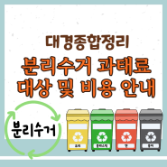 분리수거 미준수 과태료 및 정확한 배출 방법 안내