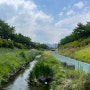 서울둘레길 2.0, 8코스 장지탄천코스 | 자연생태가 복원된 도시 하천길