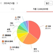 6월 가계부 4인가정 생활비 육아비