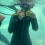 세부 다이빙 필리핀 스쿠버다이빙 체험 강습 초보 후기