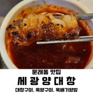 [영등포 곱창 맛집] 세광양대창 문래점｜문래역막창