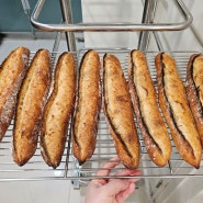 천연발효빵 수업후기 / 밍이점빵