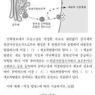 <2024.임용.세포학> 세포외방출