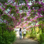 충남 드라이브 코스 청양 여행 가볼만한곳 고운식물원