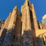 호주 여행기 - 17) 브리즈번 여행 / 세인트 존 대성당(Saint John's Anglican Cathedral)