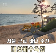 깔끔한 서해바다 대천해수욕장 서울근교 바다 추천