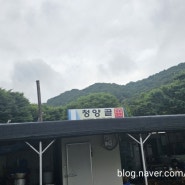 [대전] 침산동 청양골 / 태평동 제이포크 다녀왔습니다.