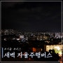 서울 자율주행 새벽동행버스 운행 노선 시간 총정리