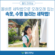 올바른 세탁법으로 오래오래 입는 속옷, 수명 늘리는 세탁법!