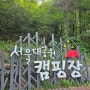 [깡통 여행] 서울대공원 피크닉 당일치기 계곡 물놀이 - 주차, 입장료