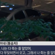시청역 사고 찌라시 돌아 경찰 사실 무근 반박