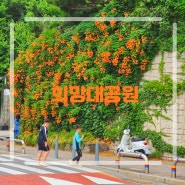 경기도 성남 희망대공원 7월 가볼만한곳 능소화 꽃구경 여름 데이트 여행지