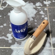 여름 욕실 청소! 라키 다목적세정제 청소솔로 해결
