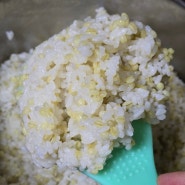 찰보리쌀 흰찹쌀보리농장 5kg 보리쌀로 보리밥짓기