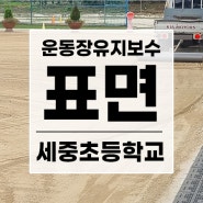 세중초등학교ㅣ운동장클리닉 작업만으로 운동장 정비 완료!(22.8.8 작업)