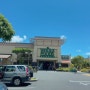 하와이 홀푸드마켓 쇼핑 & 쇼핑리스트🛒 Wholefoods Market