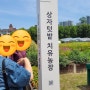 서울시농업기술센터 서울시치유농업센터 강동농협부지에 있어요