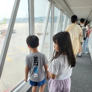 6월 오키나와여행1 / 진에어 LJ341 / 와이파이도시락 / 나하공항 포크타마고/ 일본택시투어