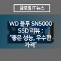 WD 블루 SN5000 SSD 리뷰 : “좋은 성능, 우수한 가격”