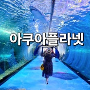 제주도 실내관광지 추천 비오는날 볼거리 공연 아쿠아플라넷