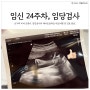 임신 24주 1일 / 임당검사, 태교여행 전 24주 태아 초음파, 몸무게 확인