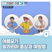 [건강CHECK] 여름모기 말라리아 증상과 예방법