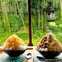 일본 나라 카페 추천 みやけ 미야케 일본 전통 찻집st 빙수 맛집 일본 나라현 여행