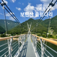 경북 영천 가볼만한곳 보현산댐 출렁다리 후기