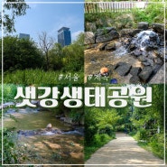 서울 근처 계곡 여의도 가볼만한곳 샛강생태공원