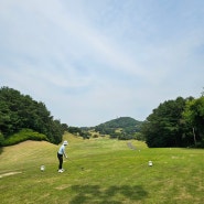 용인골프장 한림용인cc 라운드 후기 고양이 갤러리가 많아요