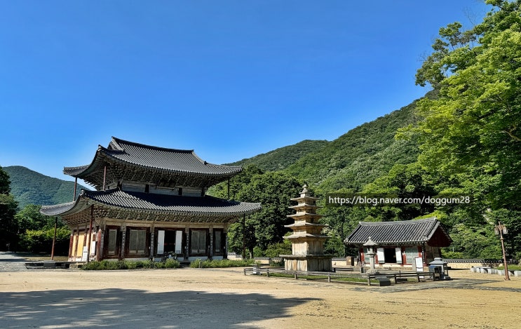 부여 무량사(無量寺) : 네이버 블로그