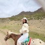 몽골여행 욜링암 투어 🧊 승마체험까지 준비물 옷차림 낙타인형 기념품