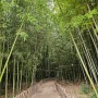 울산여행 울산 가볼만한곳 태화강 국가정원 십리대숲