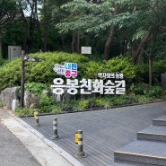 응봉 친화 숲길 가족들과 걷기좋은 서울 산책길 무장애숲길