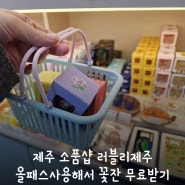 러블리제주 소품샵 제주올패스로 꽃잔 무료로 받아오기