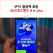 IPTV 월정액 표준 SK브로드밴드 B tv plus