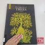 보림 ▶ 나무들의 밤(The Night Life of TREES)